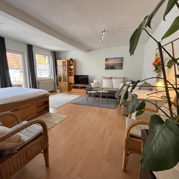 Zentral gelegenes Apartment am Fuße der Wartburg, viešbutis mieste Eizenachas