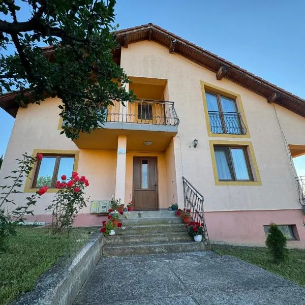 Casa DaLi، فندق في سيبيو