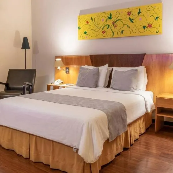 Dexter Hotel - Volta Redonda, hotel di Volta Redonda