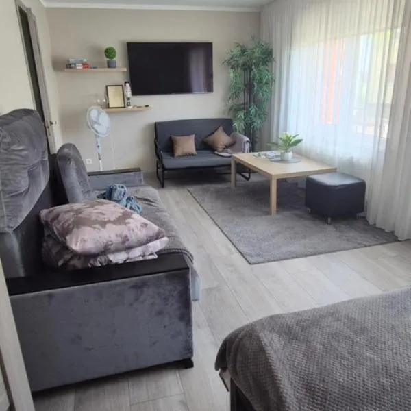 Jaudas Apartment, hotel em Madona