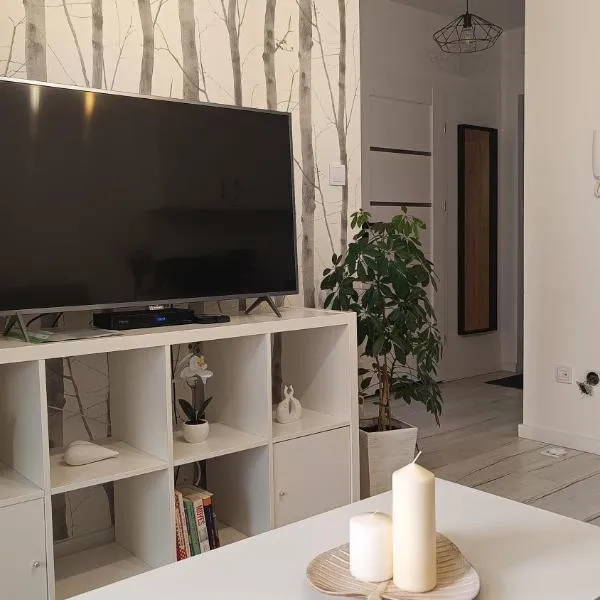 Apartament przy Pileckiego z dużym balkonem, hotel a Biała Podlaska