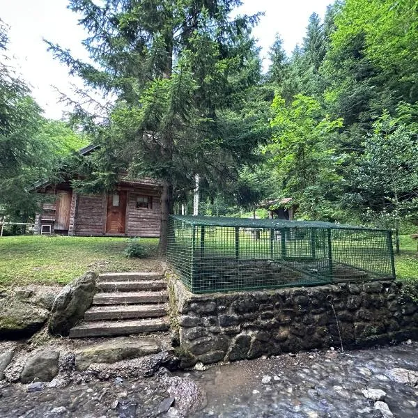 Hiška ob potočku، فندق في Ljubno