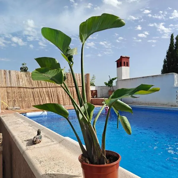 Charm quiet Valencia chalet with private pool โรงแรมในบิเรีย