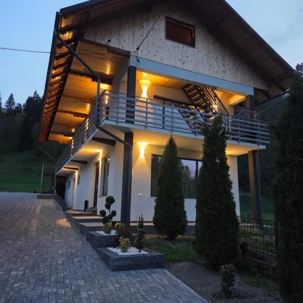 Pensiunea Dariana, hotel in Bucium-Sat