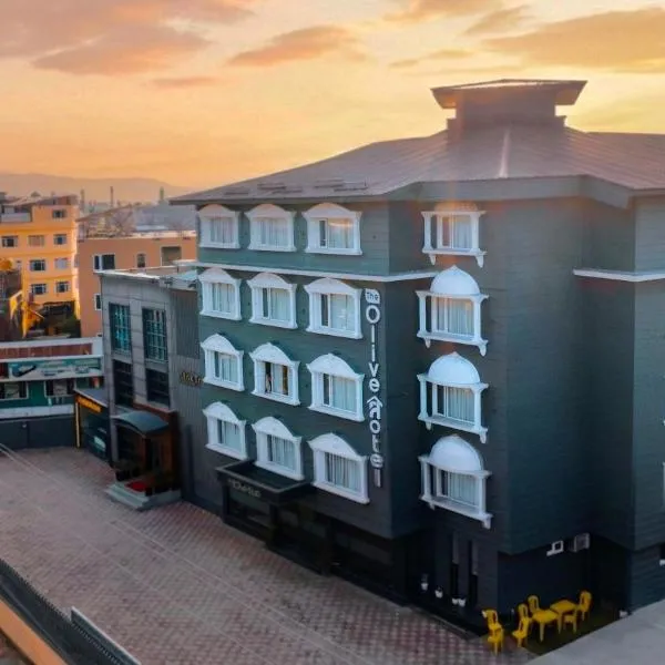 The Olive Hotel Srinagar, hotel v destinácii Srinagar