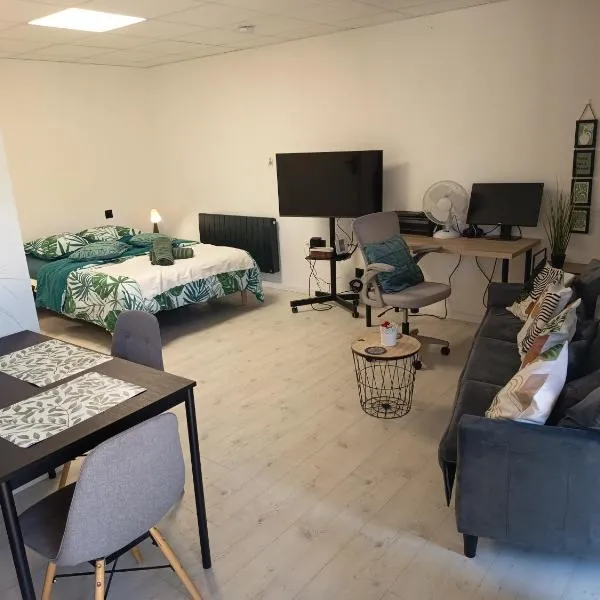 Peaceful apartment, hotel di Vierzon