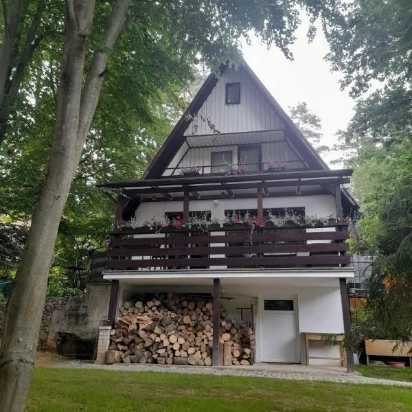 Chata Ružín nad Vodou, hotel u gradu Margecany