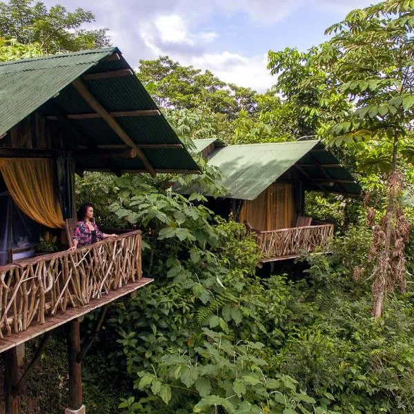 Colonia Palmareña에 위치한 호텔 La Tigra Rainforest Lodge