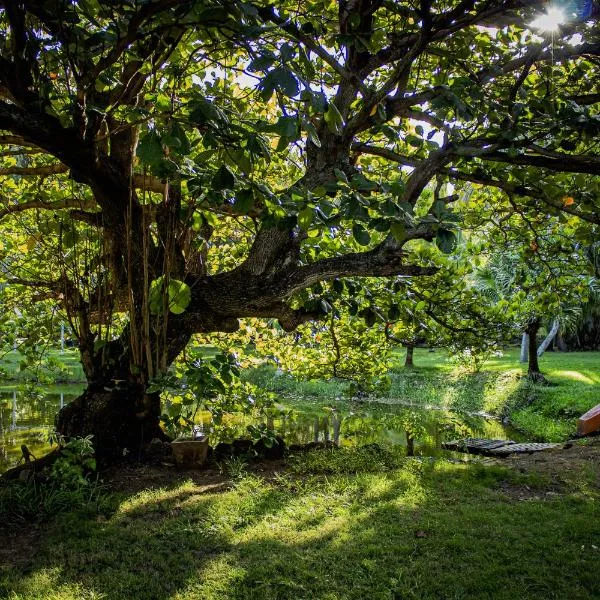 Tropical Garden Hideaway - Stonecutter – hotel w mieście Port Louis