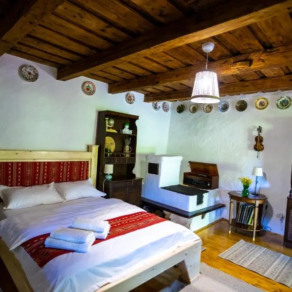 DejaView Casa Veche, отель в городе Rogojel