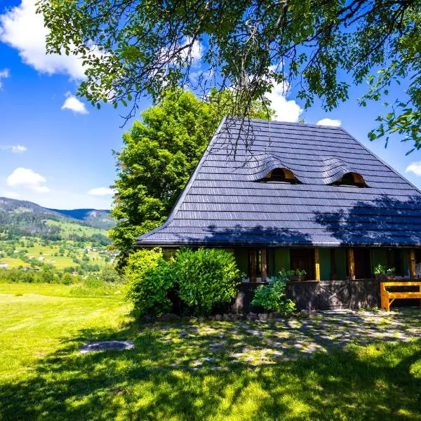 DejaView Casa Veche, hotel a Rogojel