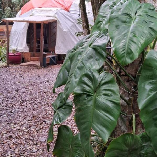 Geodésica - Quarto em meio a natureza - Caxias do Sul