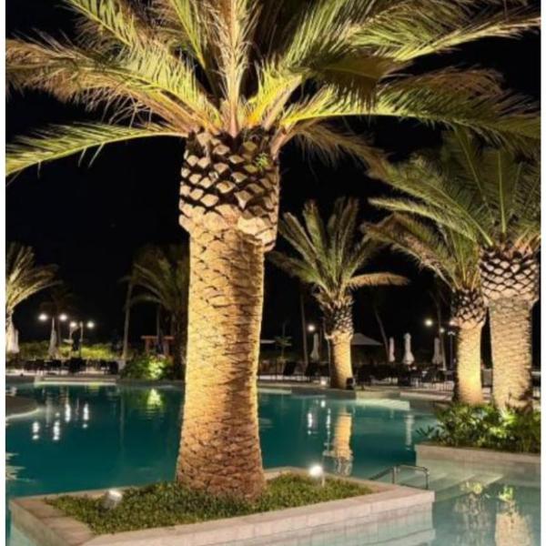 Resort gav porto Life 2
