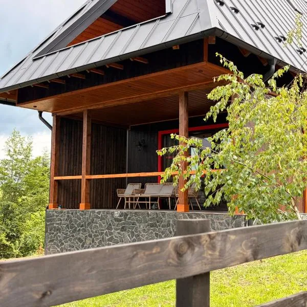 Casa Aproape de Stele din Beliș, Apuseni, khách sạn ở Finciu
