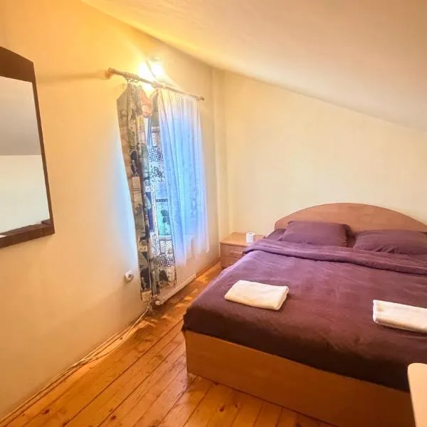 Stara Praha Loft Rooms, hotel in Uzhhorod