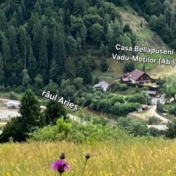 Casa Bella, hôtel à Vadu Moţilor