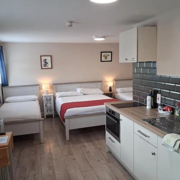 Matty's Pub - Apartment's, hotel v destinaci Carlow