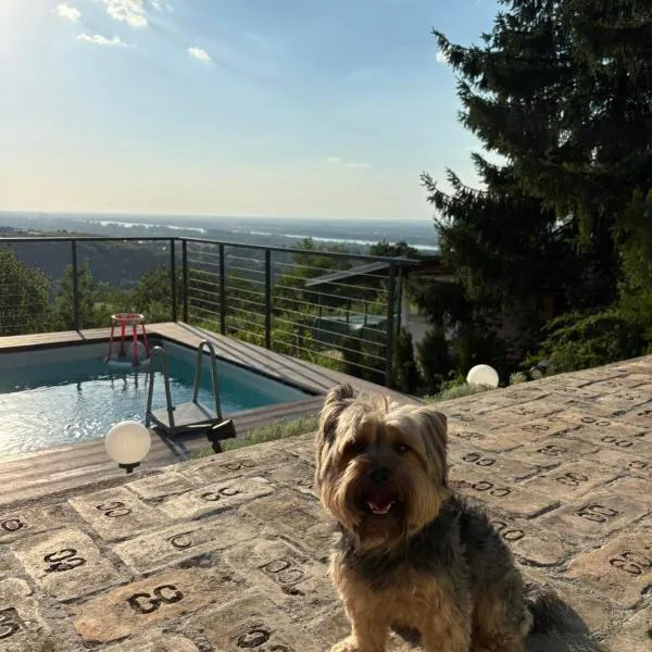 Vila Teja, hotell sihtkohas Ledinci