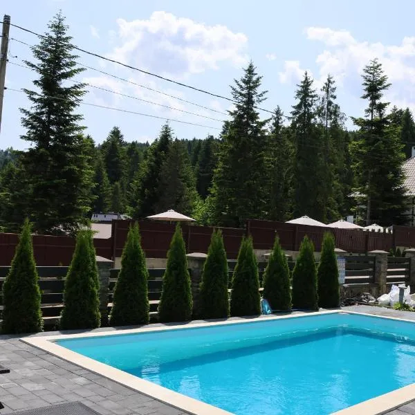 Феєрія Лісу, hotel in Skhidnitsa