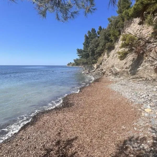 Minnelea Beach House, hotel Pioppiban