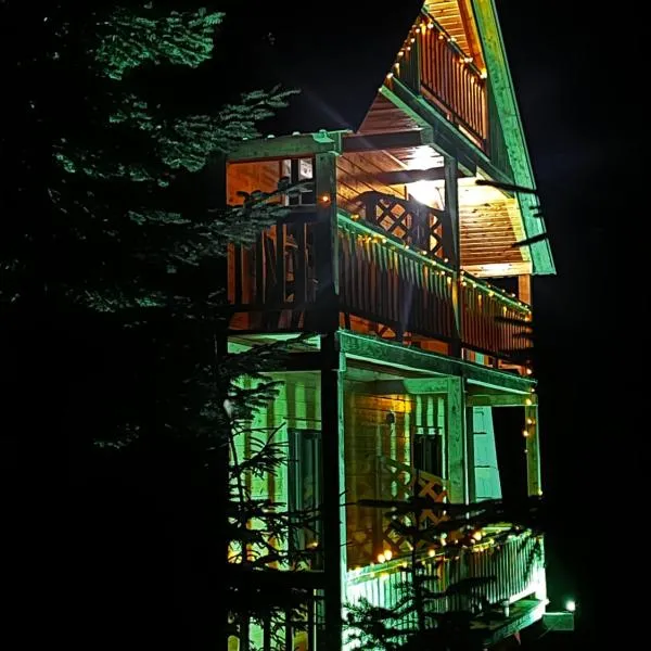 Alpine Lodge Bakhmaro, ξενοδοχείο σε Chʼkhakoura