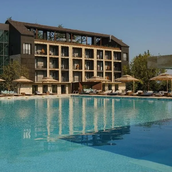 Hotel Meteo Kakheti، فندق في تيلافي