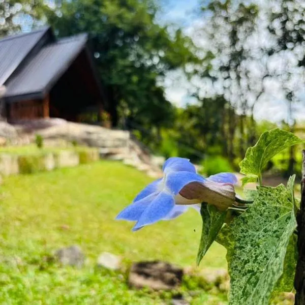 Nature Nest Cabana, hotel u gradu 'Sigirija'