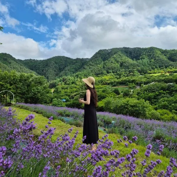 yangwon lavender 양원라벤더 금강송숲길 협곡열차, hotel en Wŏn'gok