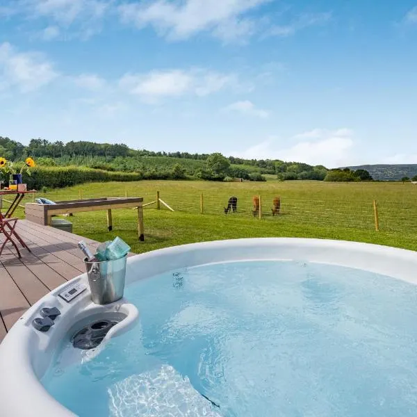 The Owl at Nest and Loaf, hotel v destinácii Abergavenny