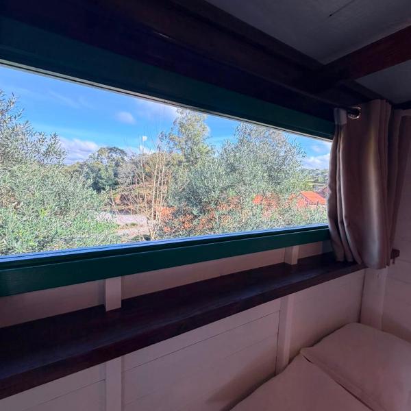 Linha Nova Glamping - Foto 2