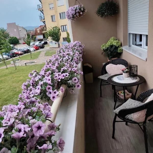 Apartman LARA, hôtel à Pirot