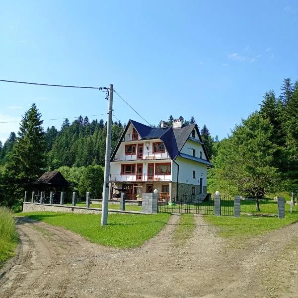 Krynica Zdrój - Dom nad wodą, hotel in Piorunka
