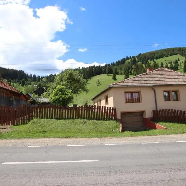 Kicsipatak vendégház, hotel in Lunca de Sus