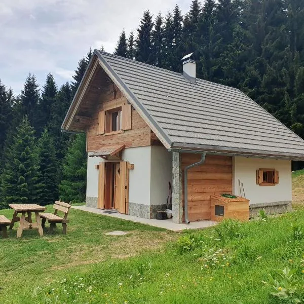 Arnika Hütte - un'immersione nelle montagne della foresta millenaria, hotell i Ugovizza