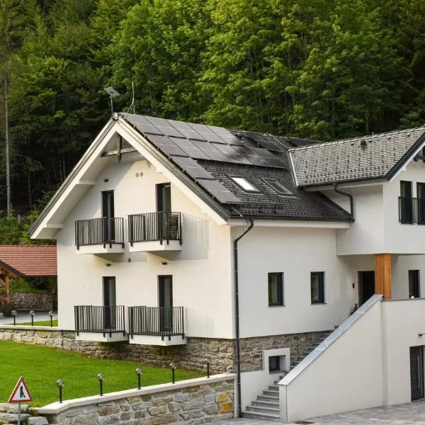Apartmaji Vouk - sodobni apartmaji v objemu narave - Lukanja - Rogla - Primerno za pare in družine - Sprostitev in aktivno preživljanje prostega časa, хотел в Oplotnica