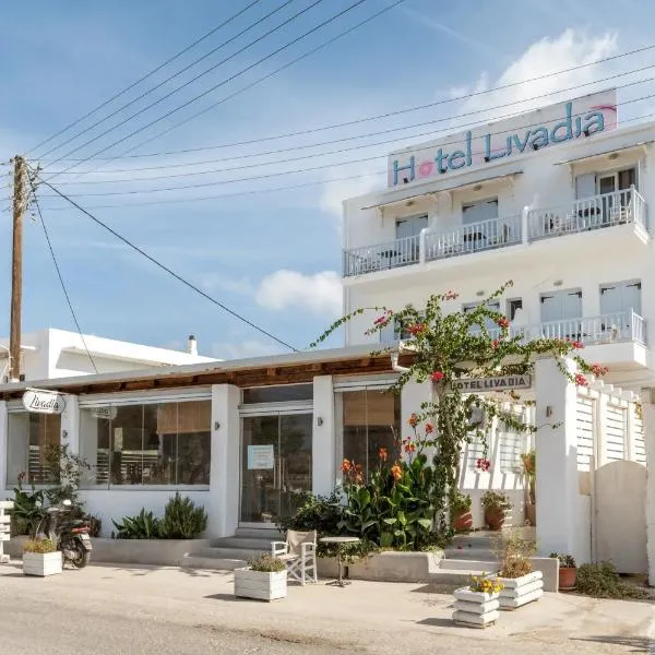 Hotel Livadia، فندق في باريكيا