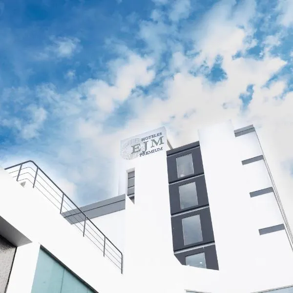 Hotel EJM PREMIUM, hotel em Irapuato