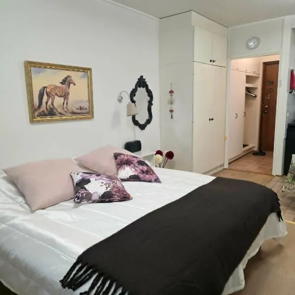 Kylpylä-hotelli 364 – hotel w mieście Ikaalinen