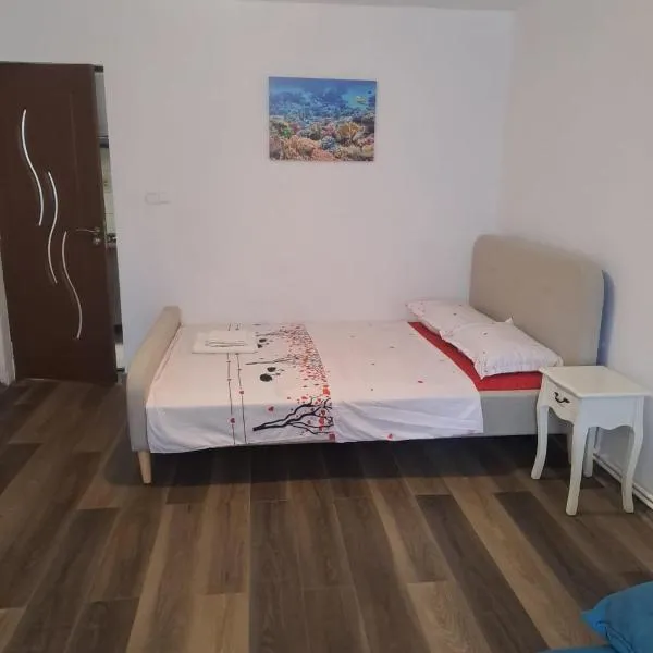 Strada Banu Mihalcea Nr. 150, hotel u gradu 'Constanţa'