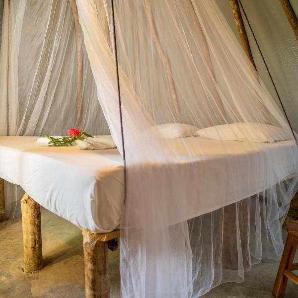 Treehouse Kitecamp Jericoacoara - Foto 4