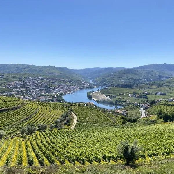 Casa do Paço Suítes Douro Valley, Hotel in Peso da Régua