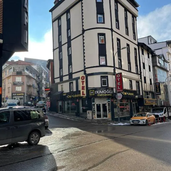 Hekimoğlu Hotel, hotel en Erzurum
