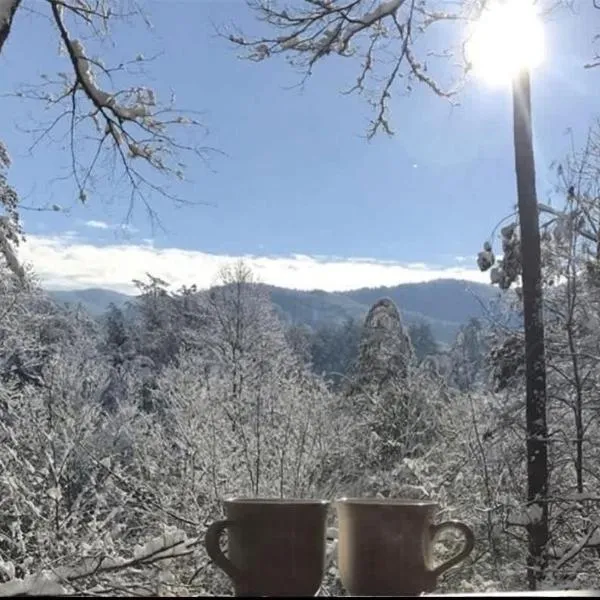 Mountain Heaven, viešbutis mieste Blu Ridžas