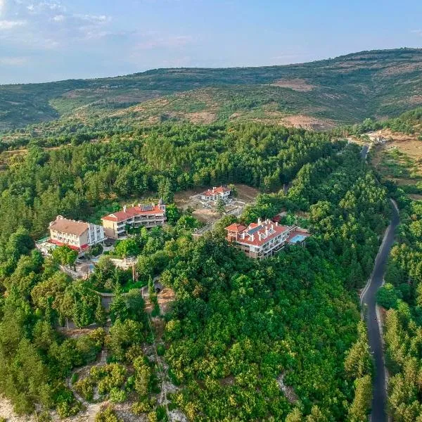 OLEO hotel, hotel u gradu Momčilgrad