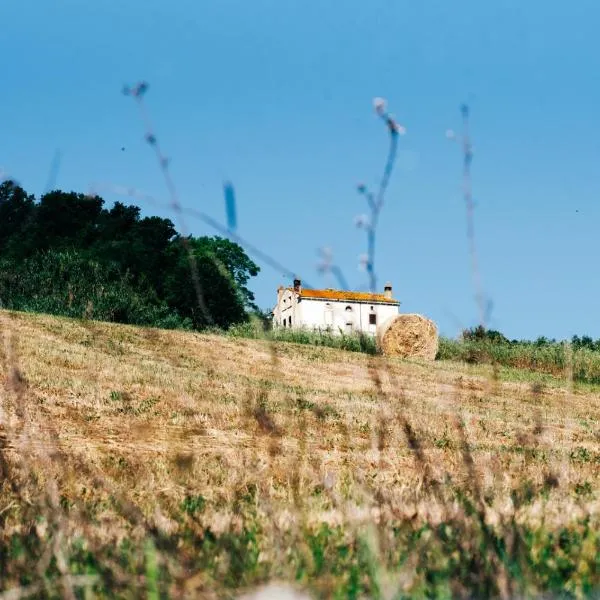 Casa di campagna, pace e natura, sotto la Maiella - Agricasa Caprafico, hotel Casoliban