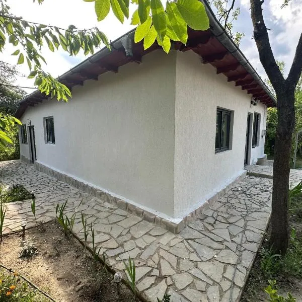 Bălăneşti에 위치한 호텔 Acasa la Coana Mare
