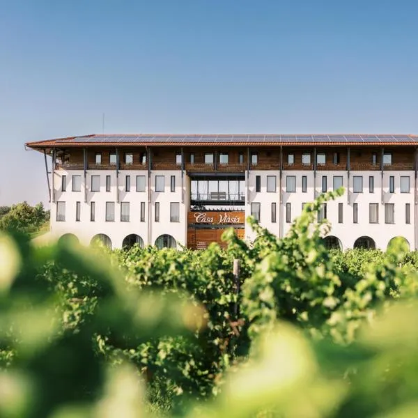 Casa Vlasia: Snagov şehrinde bir otel