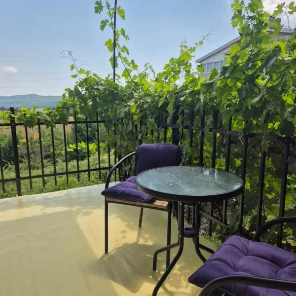 Aleksandar Apts, hotel din Tivat