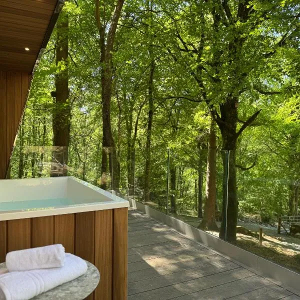Forest Lodges – hotel w mieście Betws-y-coed