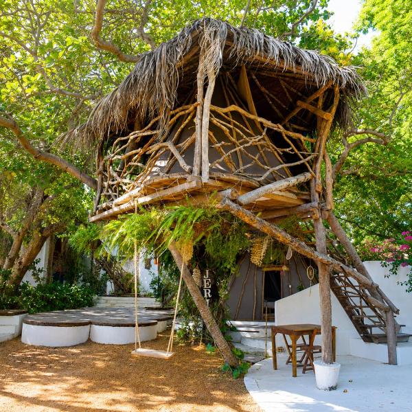 Treehouse Kitecamp Jericoacoara - Foto 3